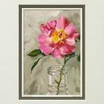 Rose print, limited edition..