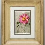 Rose print, limited edition..