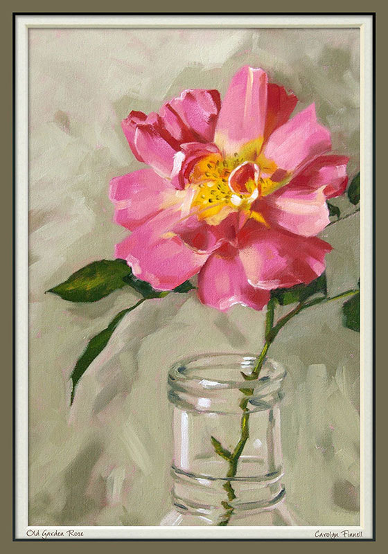 Rose print, limited edition giclee print in 11x14 mat, from an original painting, "Old Garden Rose"